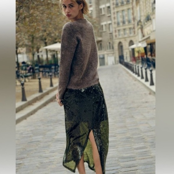 NWT ZARA 🎄Holiday SEQUIN MIDI SKIRT XS
🚨 FINAL PRICE NO OFFER ACCEPT - Picture 7 of 16